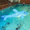 Airkraft "Delphin" Water Park Inflatable -Swimming Supplies Shop 114 7807