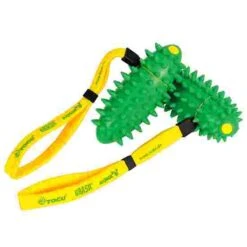 Swimming Supplies Shop -Swimming Supplies Shop 147 3807