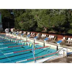 Malmsten Starting Blocks -Swimming Supplies Shop 245 0403 6